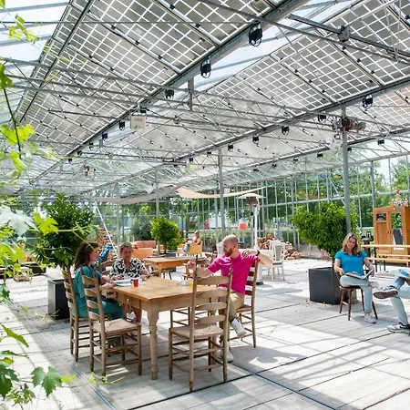 Achterhoeks Goed, Minicamping In Lichtenvoorde-vragender