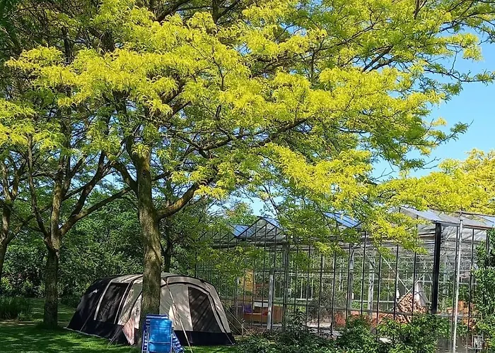 אוהל מפואר Achterhoeks Goed, Minicamping In Lichtenvoorde-vragender *