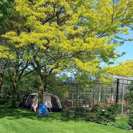 Luxury tent Achterhoeks Goed, Minicamping In Lichtenvoorde-vragender *